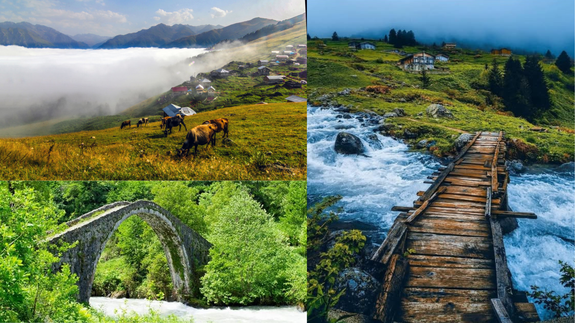 Elevit & Gito & Badara Yayla Turu
