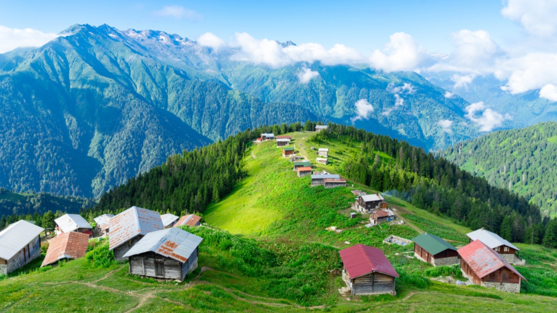 Günübirlik Pokut & Sal  Yayla Turu